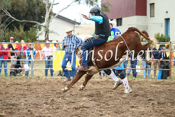 JindabyneRodeo2016-692