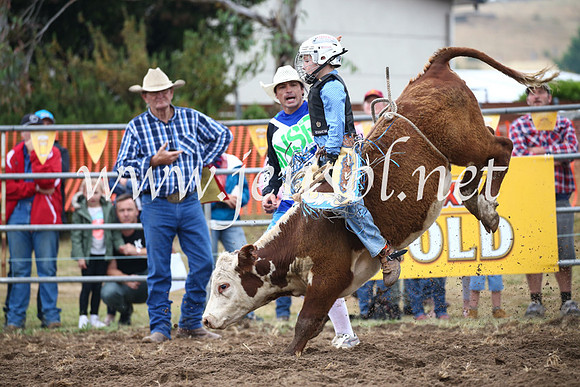 JindabyneRodeo2016-717