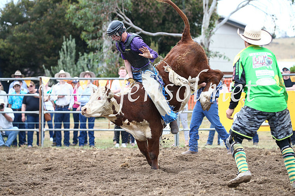 JindabyneRodeo2016-948