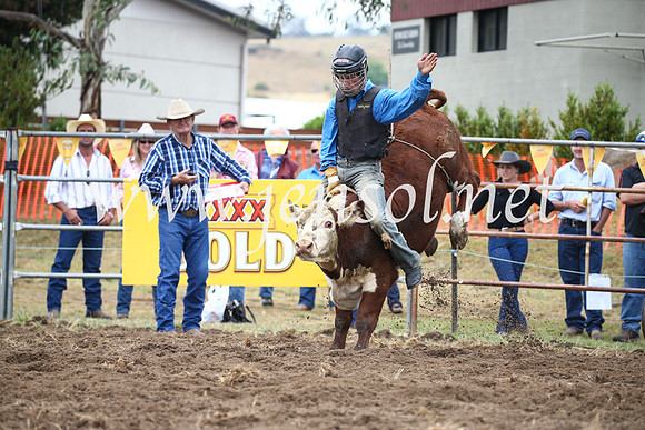 JindabyneRodeo2016-199