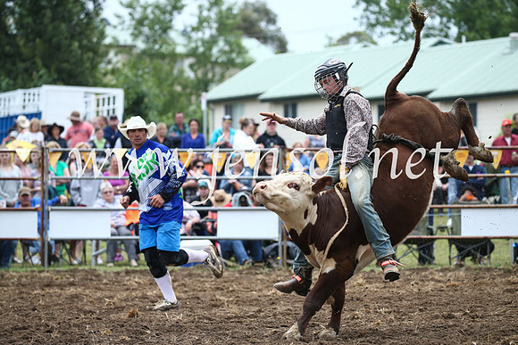 JindabyneRodeo2016-1052