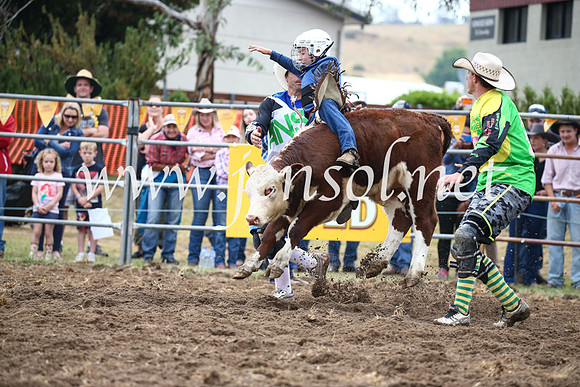 JindabyneRodeo2016-795
