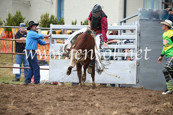 JindabyneRodeo2016-294
