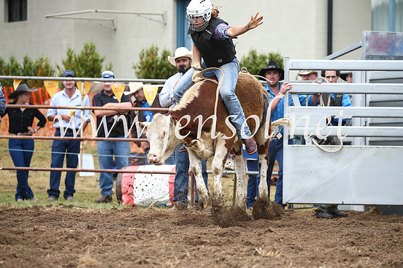 JindabyneRodeo2016-224