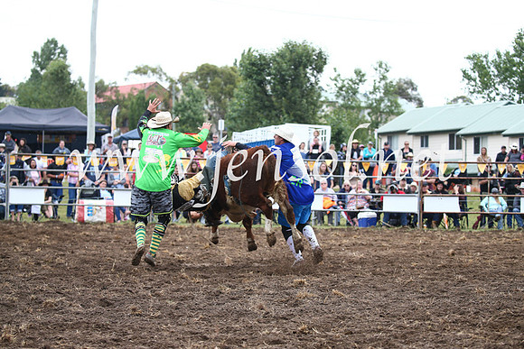 JindabyneRodeo2016-496