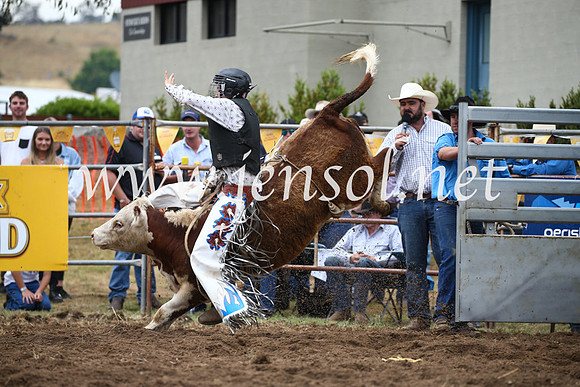JindabyneRodeo2016-1255