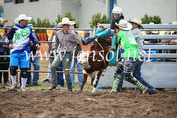 JindabyneRodeo2016-776