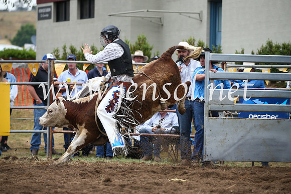 JindabyneRodeo2016-1259
