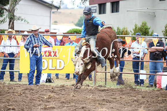 JindabyneRodeo2016-187