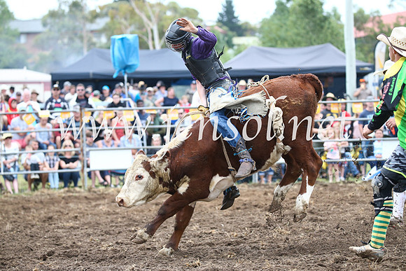 JindabyneRodeo2016-976