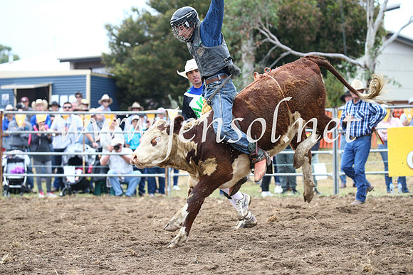 JindabyneRodeo2016-999