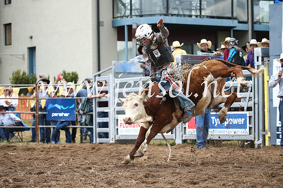 JindabyneRodeo2016-1077