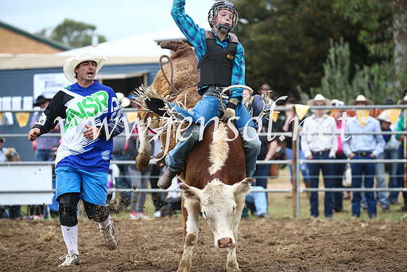 JindabyneRodeo2016-1118