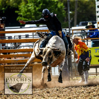 QueanbeyanRodeo_1508