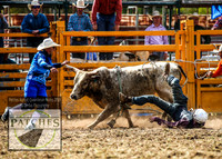 QueanbeyanRodeo_1578