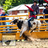 QueanbeyanRodeo_1428