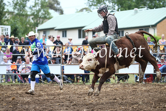 JindabyneRodeo2016-1049