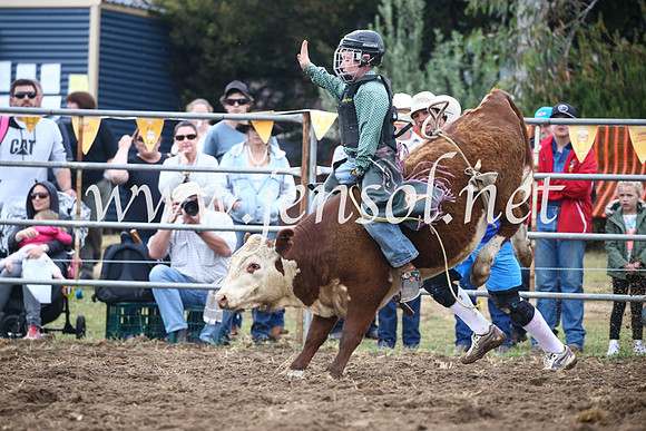 JindabyneRodeo2016-743