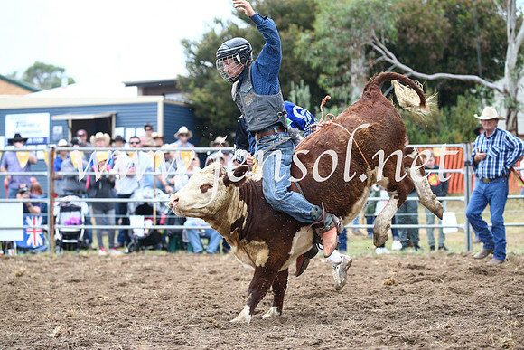 JindabyneRodeo2016-997