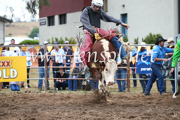 JindabyneRodeo2016-1218