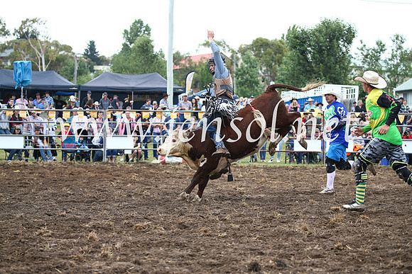 JindabyneRodeo2016-413