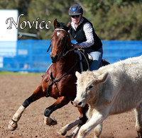 Novice