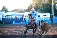 CCCampdraft2016_1017