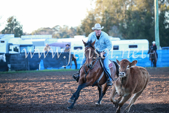 CCCampdraft2016_1017