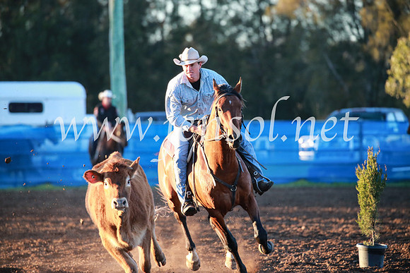 CCCampdraft2016_1050