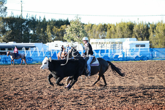 CCCampdraft2016_1179