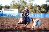 CCCampdraft2016_1076