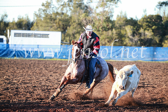 CCCampdraft2016_1076