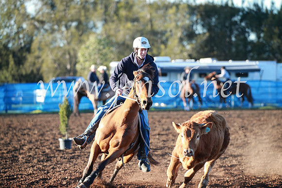 CCCampdraft2016_1147