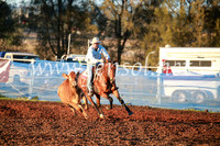 CCCampdraft2016_1042
