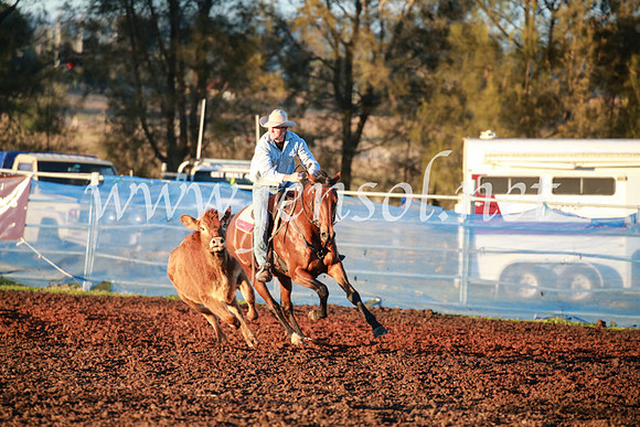 CCCampdraft2016_1042