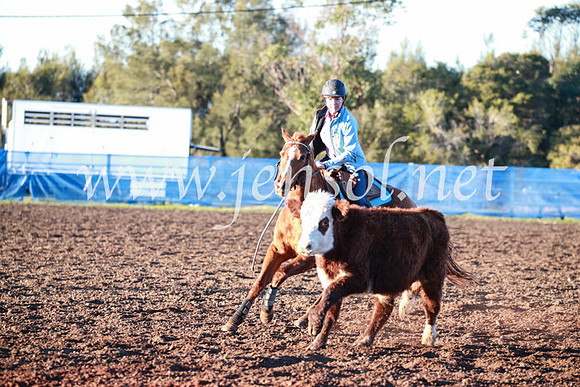 CCCampdraft2016_1099