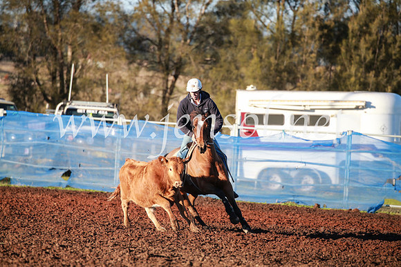 CCCampdraft2016_1159