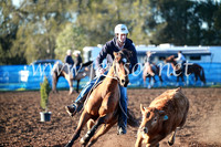 CCCampdraft2016_1152