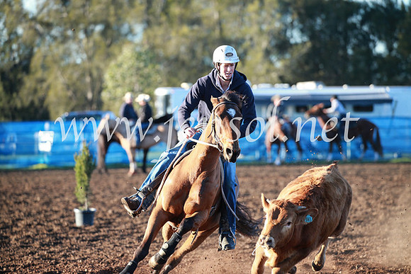 CCCampdraft2016_1152