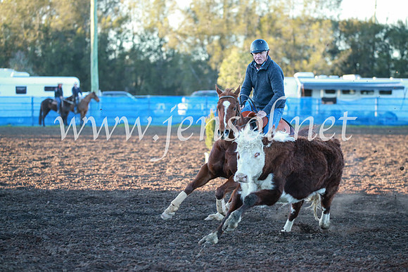 CCCampdraft2016_1058