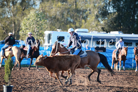 CCCampdraft2016_1169