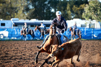 CCCampdraft2016_1148