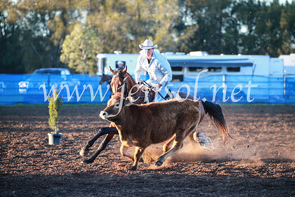CCCampdraft2016_1033