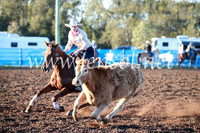 CCCampdraft2016_1117
