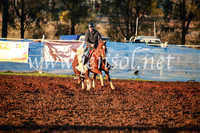 CCCampdraft2016_1072