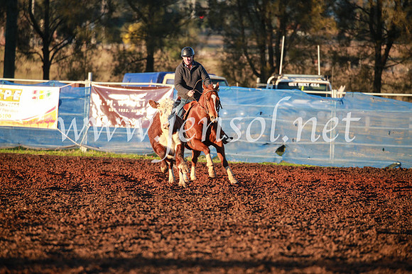 CCCampdraft2016_1072