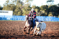 CCCampdraft2016_1085