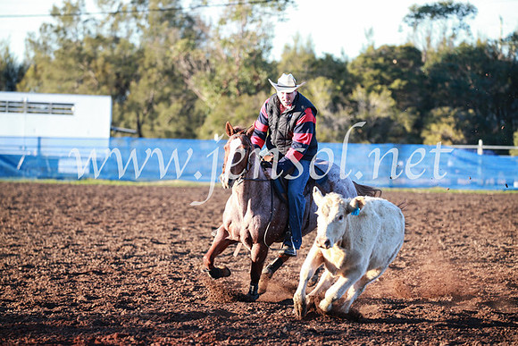 CCCampdraft2016_1085