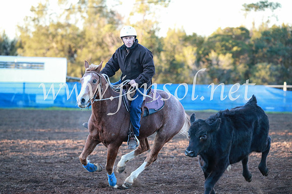 CCCampdraft2016_1005