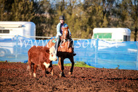 CCCampdraft2016_1113